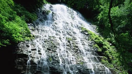 高端可靠性可靠性
